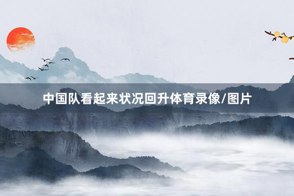 中国队看起来状况回升体育录像/图片