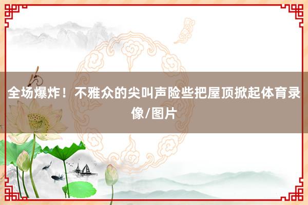 全场爆炸！不雅众的尖叫声险些把屋顶掀起体育录像/图片