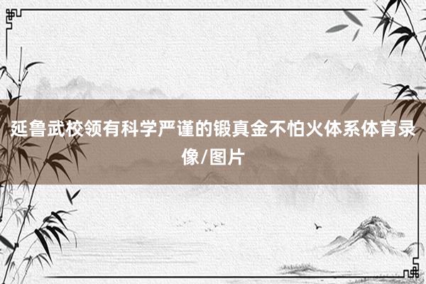 延鲁武校领有科学严谨的锻真金不怕火体系体育录像/图片