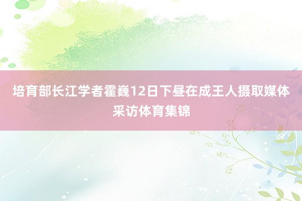 培育部长江学者霍巍12日下昼在成王人摄取媒体采访体育集锦