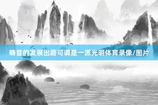 畴昔的发展出路可谓是一派光明体育录像/图片