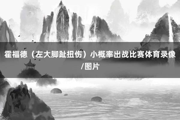 霍福德（左大脚趾扭伤）小概率出战比赛体育录像/图片