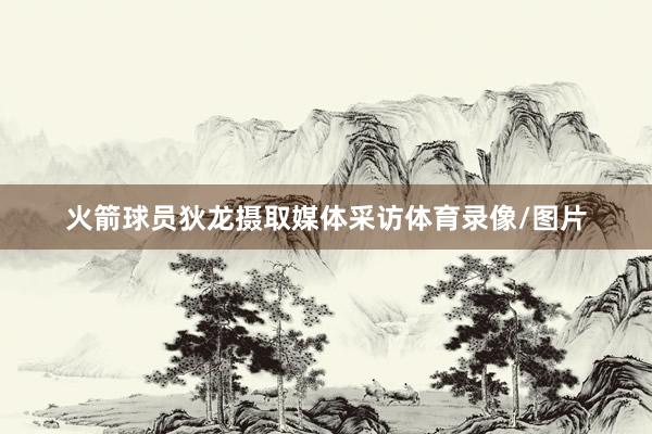 火箭球员狄龙摄取媒体采访体育录像/图片