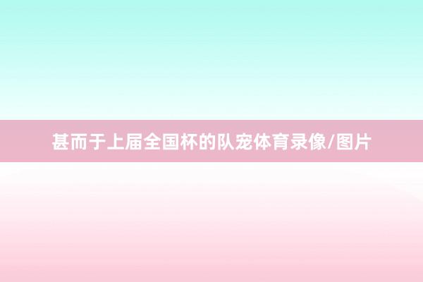 甚而于上届全国杯的队宠体育录像/图片