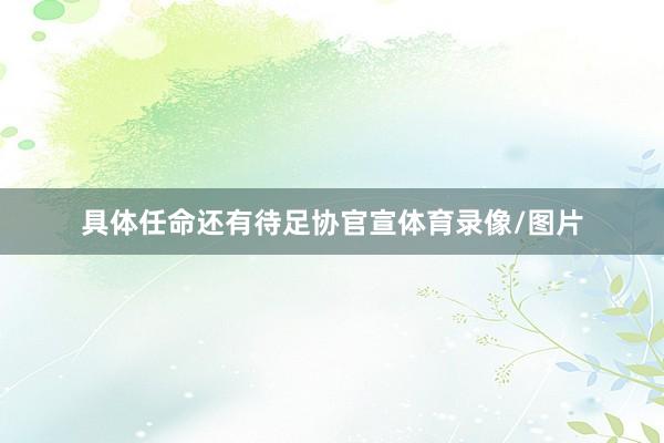 具体任命还有待足协官宣体育录像/图片