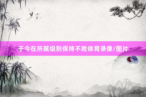 于今在所属级别保持不败体育录像/图片