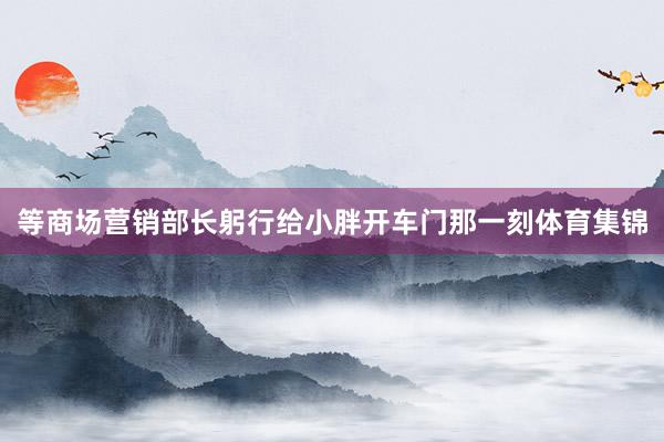 等商场营销部长躬行给小胖开车门那一刻体育集锦