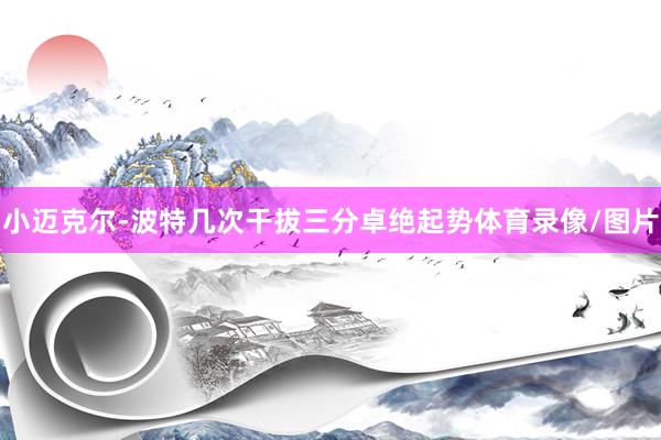 小迈克尔-波特几次干拔三分卓绝起势体育录像/图片