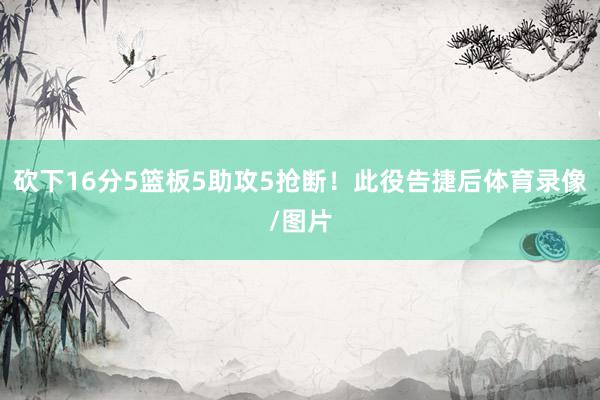 砍下16分5篮板5助攻5抢断！此役告捷后体育录像/图片