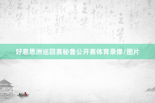好意思洲巡回赛秘鲁公开赛体育录像/图片