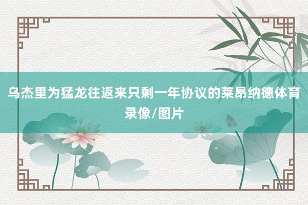 乌杰里为猛龙往返来只剩一年协议的莱昂纳德体育录像/图片