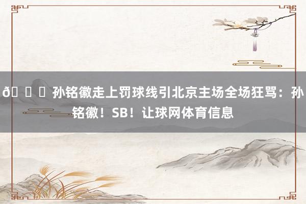 👀孙铭徽走上罚球线引北京主场全场狂骂：孙铭徽！SB！让球网体育信息