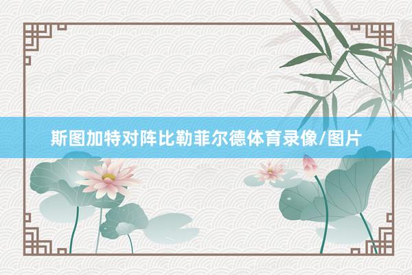 斯图加特对阵比勒菲尔德体育录像/图片