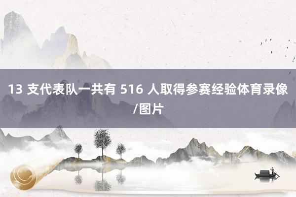 13 支代表队一共有 516 人取得参赛经验体育录像/图片