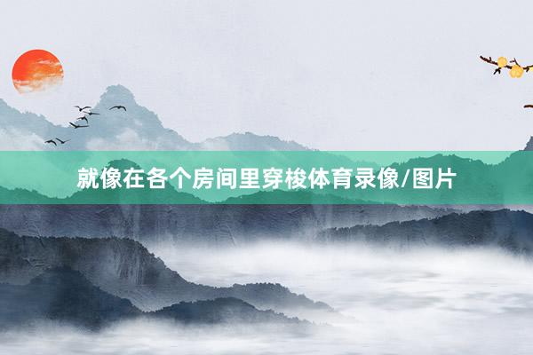 就像在各个房间里穿梭体育录像/图片