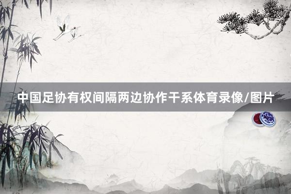 中国足协有权间隔两边协作干系体育录像/图片