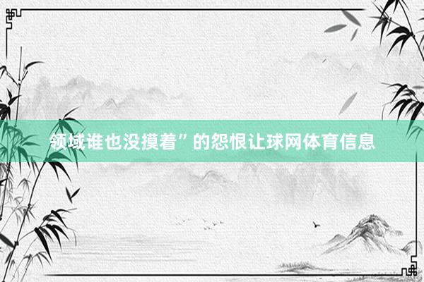 领域谁也没摸着”的怨恨让球网体育信息