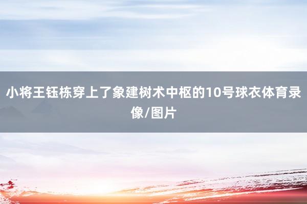 小将王钰栋穿上了象建树术中枢的10号球衣体育录像/图片