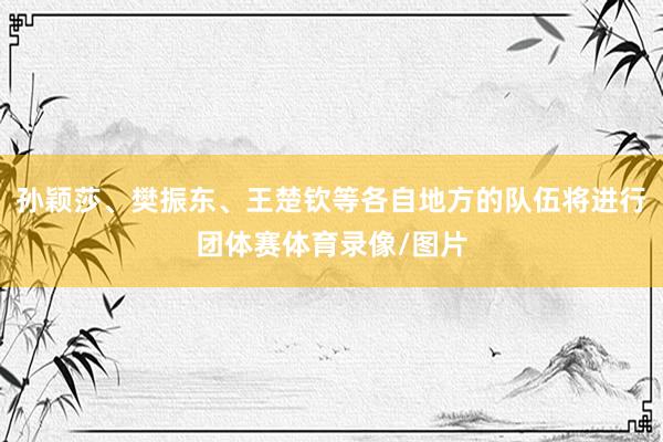 孙颖莎、樊振东、王楚钦等各自地方的队伍将进行团体赛体育录像/图片