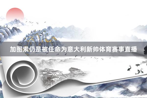 加图索仍是被任命为意大利新帅体育赛事直播