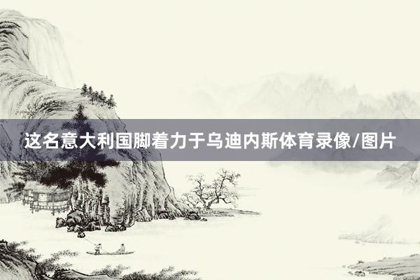 这名意大利国脚着力于乌迪内斯体育录像/图片