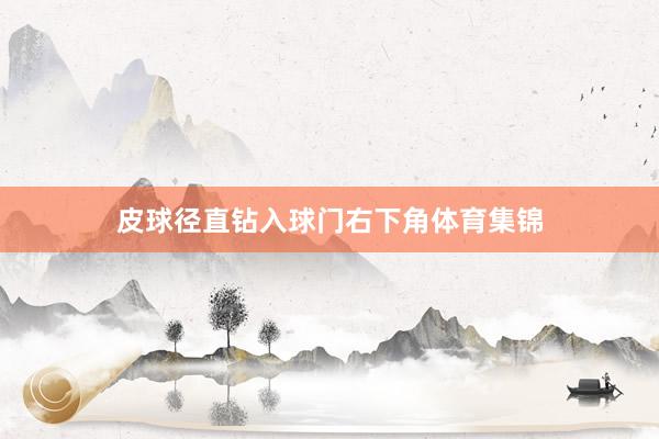 皮球径直钻入球门右下角体育集锦