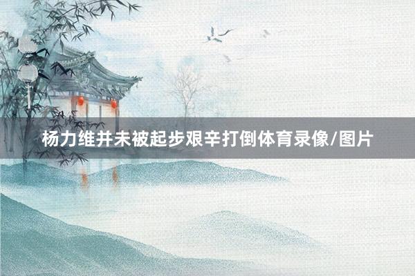 杨力维并未被起步艰辛打倒体育录像/图片