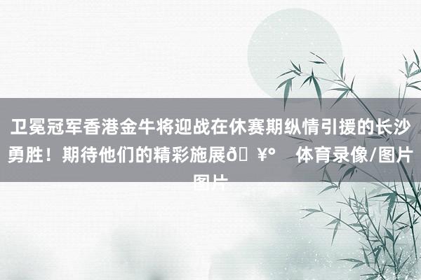 卫冕冠军香港金牛将迎战在休赛期纵情引援的长沙勇胜!期待他们的精彩施展🥰 体育录像/图片