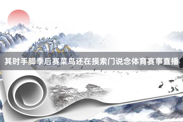 其时手脚季后赛菜鸟还在摸索门说念体育赛事直播