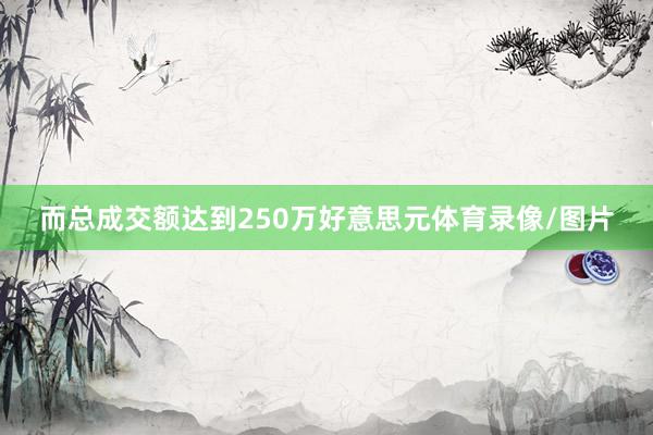 而总成交额达到250万好意思元体育录像/图片