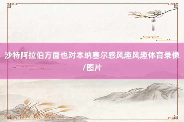 沙特阿拉伯方面也对本纳塞尔感风趣风趣体育录像/图片