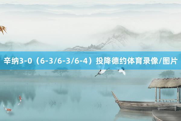 辛纳3-0（6-3/6-3/6-4）投降德约体育录像/图片