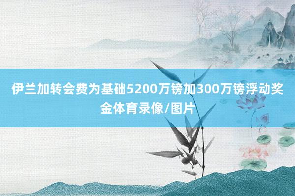 伊兰加转会费为基础5200万镑加300万镑浮动奖金体育录像/图片
