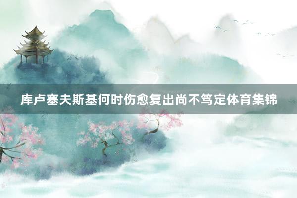 库卢塞夫斯基何时伤愈复出尚不笃定体育集锦