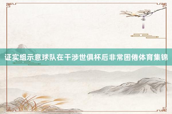 证实组示意球队在干涉世俱杯后非常困倦体育集锦