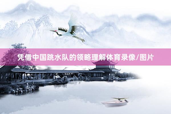 凭借中国跳水队的领略理解体育录像/图片