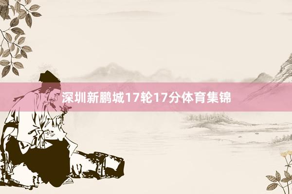 深圳新鹏城17轮17分体育集锦