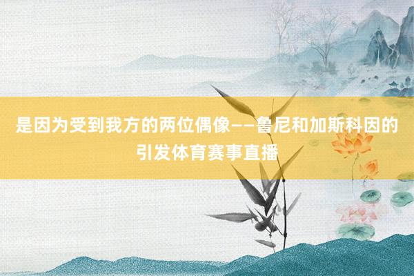 是因为受到我方的两位偶像——鲁尼和加斯科因的引发体育赛事直播