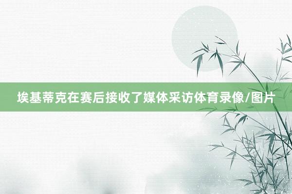 埃基蒂克在赛后接收了媒体采访体育录像/图片