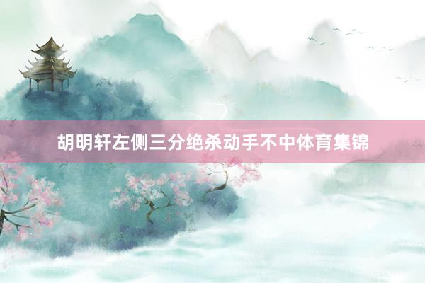 胡明轩左侧三分绝杀动手不中体育集锦