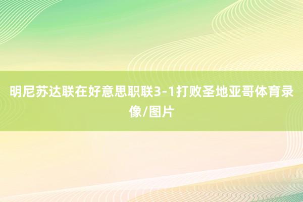 明尼苏达联在好意思职联3-1打败圣地亚哥体育录像/图片