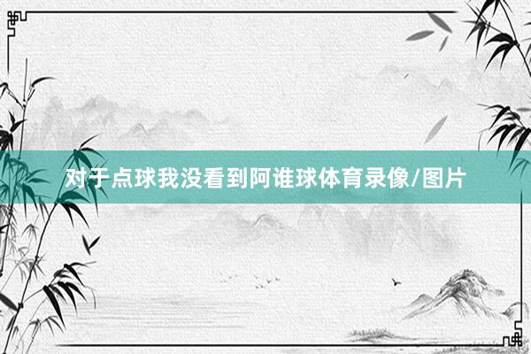 对于点球我没看到阿谁球体育录像/图片