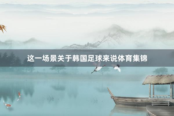 这一场景关于韩国足球来说体育集锦