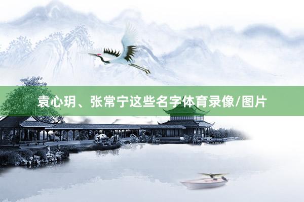 袁心玥、张常宁这些名字体育录像/图片
