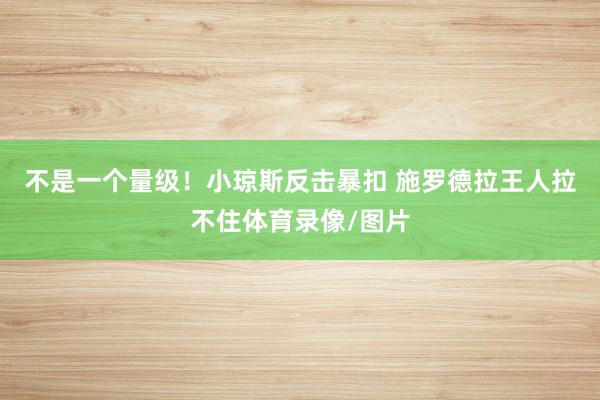 不是一个量级！小琼斯反击暴扣 施罗德拉王人拉不住体育录像/图片