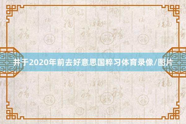 并于2020年前去好意思国粹习体育录像/图片
