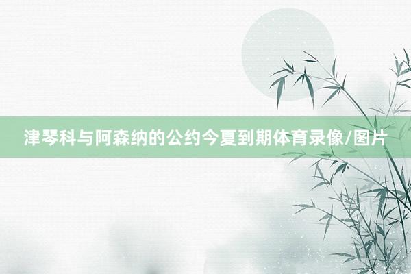 津琴科与阿森纳的公约今夏到期体育录像/图片