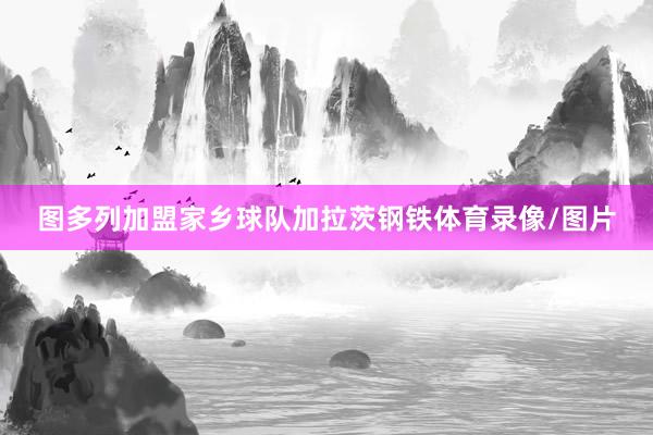 图多列加盟家乡球队加拉茨钢铁体育录像/图片