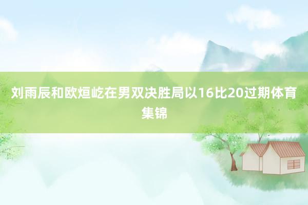 刘雨辰和欧烜屹在男双决胜局以16比20过期体育集锦