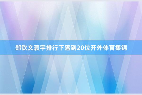郑钦文寰宇排行下落到20位开外体育集锦